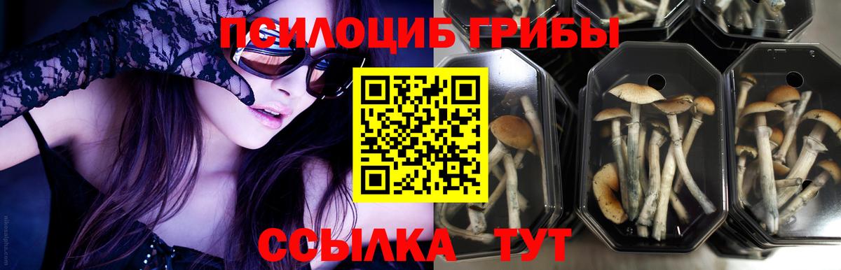 Уварово  Галлюциногенные грибы MAGIC MUSHROOMS  Вход с VPN 
